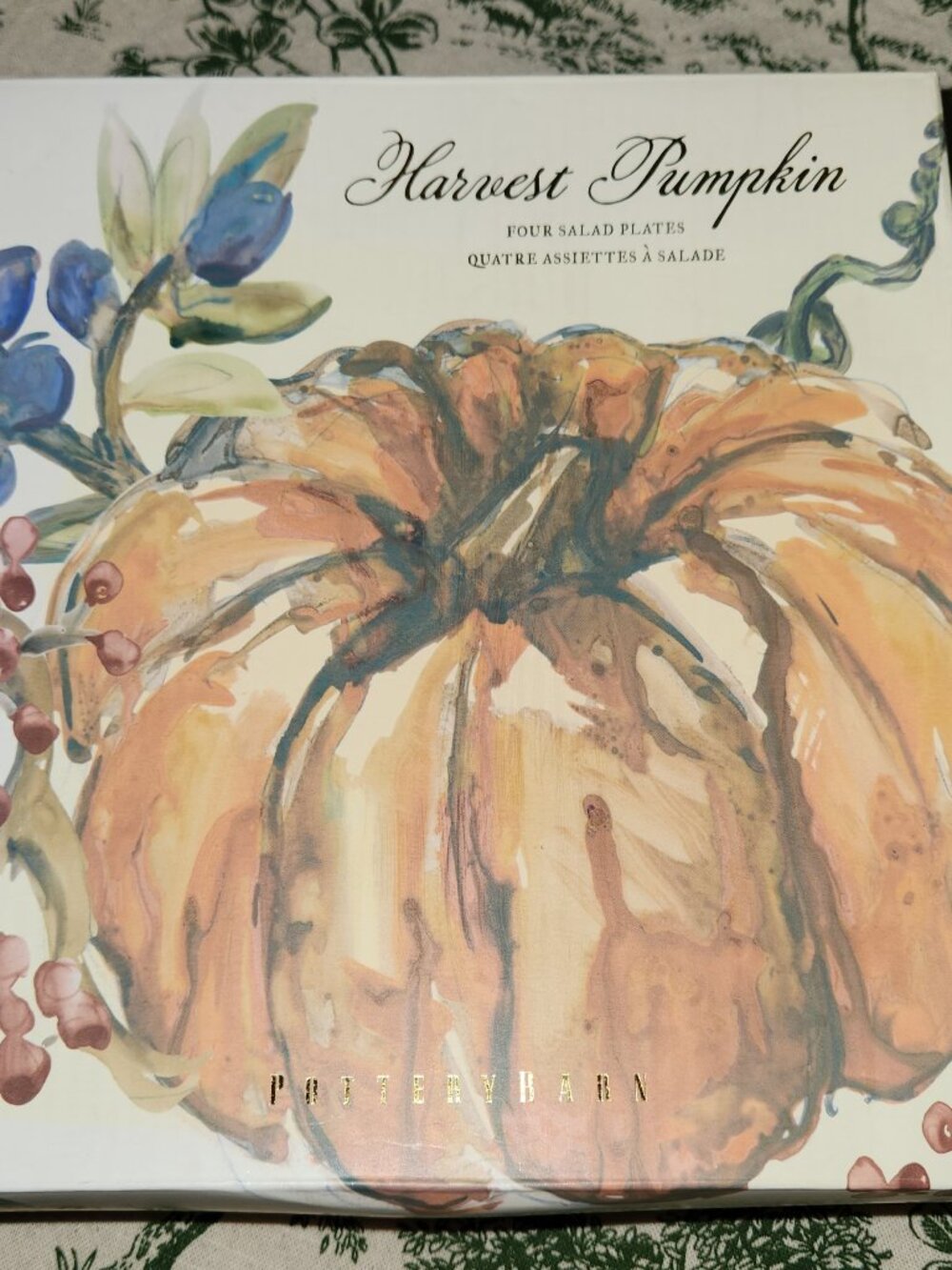 Pottery Barn Harvest Watercolor Pumpkin Salad Plates Set of 4